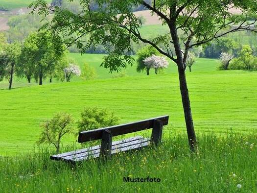 Land-/Forstwirtschaft zum Kauf 444.000 € 154.282 m² Grundstück St.Gerogen am Walde 4372