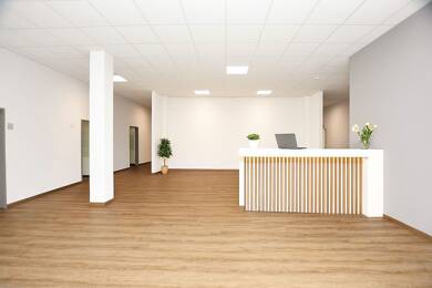 Bürofläche zur Miete 7.923 € 834 m² Bürofläche Alt- und Neustadt Bielefeld 33602