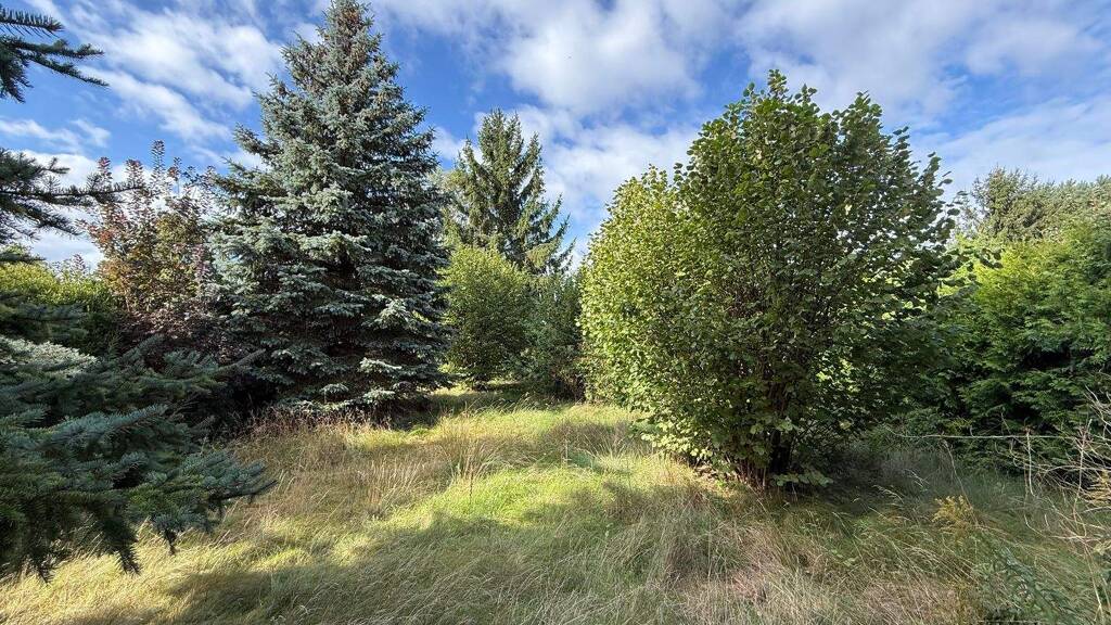 Grundstück zum Kauf 310.000 € 798 m² Grundstück Stralsunder Str. 12 Falkensee 14612