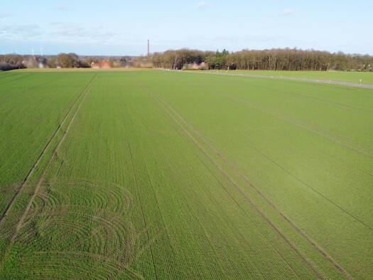 Land-/Forstwirtschaft zum Kauf 112.310 € 10.210 m² Grundstück Mettingen 49497