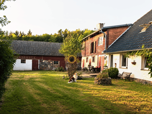 Haus zum Kauf 295.000 € 4 Zimmer 165 m² 19.400 m² Grundstück Eichholz Gremersdorf-Buchholz 18461