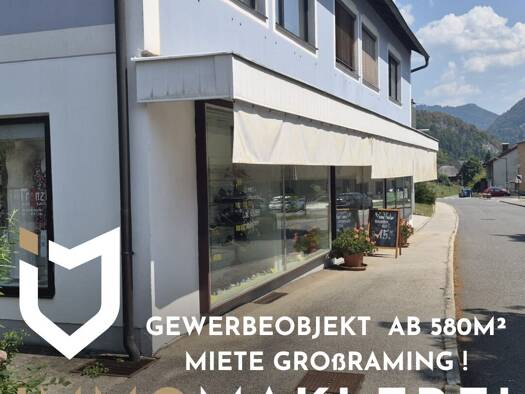 Laden zur Miete 500 m² Verkaufsfläche Großraming 4463