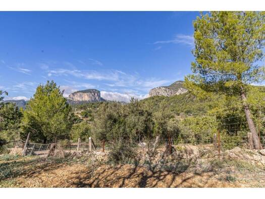 Acker-/Waldstück zum Kauf 2.220.000 € Alaró 07340