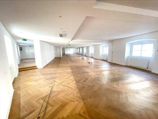 Bürofläche zur Miete 24 € 13 Zimmer 1.039,5 m² Bürofläche Freyung 3/Palais Harrach Wien 1010