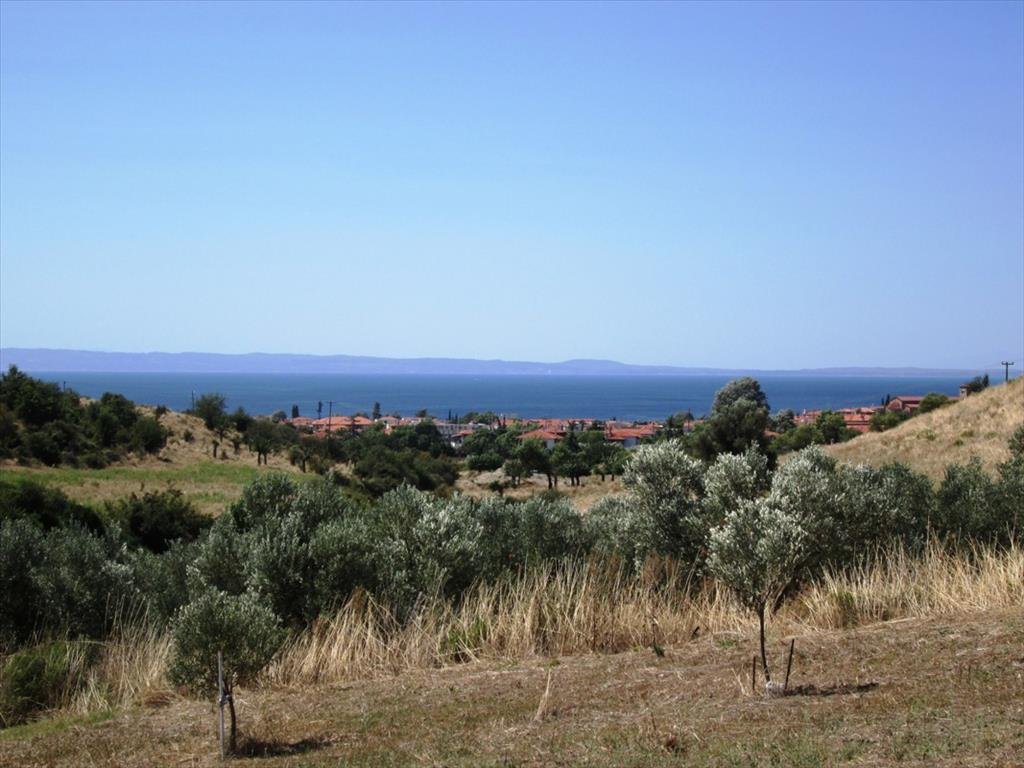 Land-/Forstwirtschaft zum Kauf 190.000 € 2.479 m²<br/>Grundstück Chalkidiki