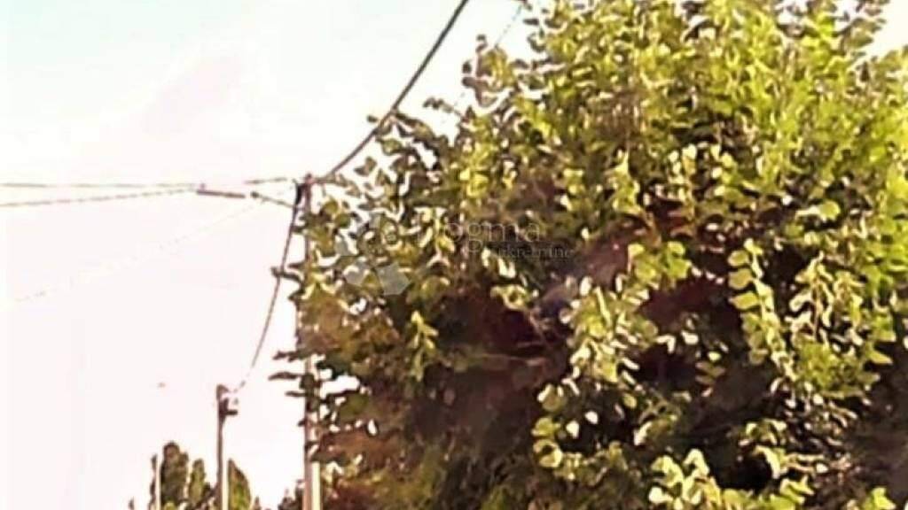 Land-/Forstwirtschaft zum Kauf 15.000 € Vukovar