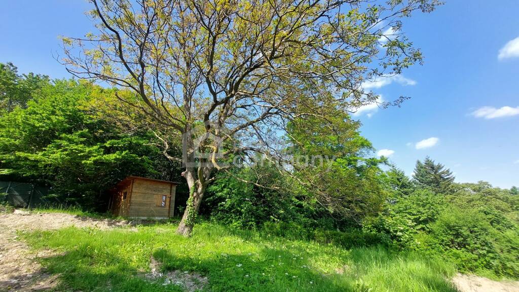 Grundstück zum Kauf 380.000 € 1.199 m² Grundstück Klosterneuburg 3400