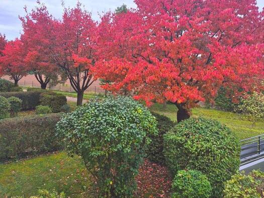 Wohnung zum Kauf 369.000 € 2 Zimmer 66 m² 1. Geschoss frei ab sofort Fürstenfeldbruck 82256