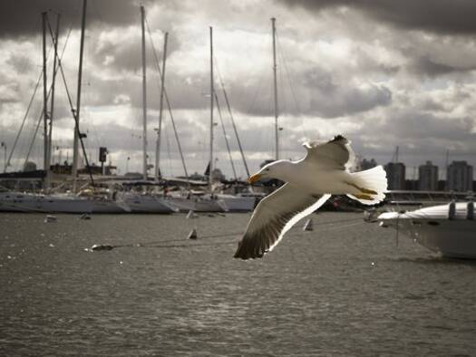 Einfamilienhaus zum Kauf 195.000 € 7 Zimmer 315 m² Grundstück Dehiwala -