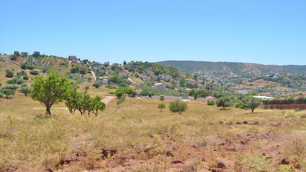 Land-/Forstwirtschaft zum Kauf 1.100.000 € 13.500 m² Grundstück Attika