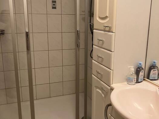 Studio zur Miete 700 € 2,5 Zimmer 55 m² Geschoss EG/3 frei ab 01.05.2026 Hattenheim Eltville am Rhein 65347