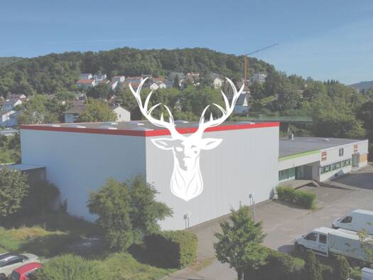 Halle/Industriefläche zur Miete 4.800 € 905 m² Lagerfläche Tiengen Waldshut-Tiengen 79761