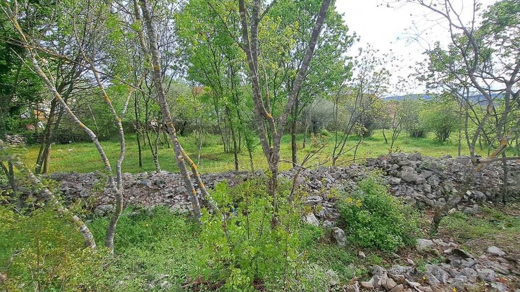 Land-/Forstwirtschaft zum Kauf 305.000 € Krk