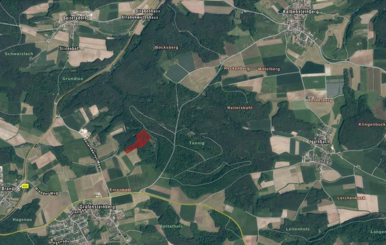 Land-/Forstwirtschaft zum Kauf 132.000 € 33.003 m²<br/>Grundstück Aue Haundorf 91729