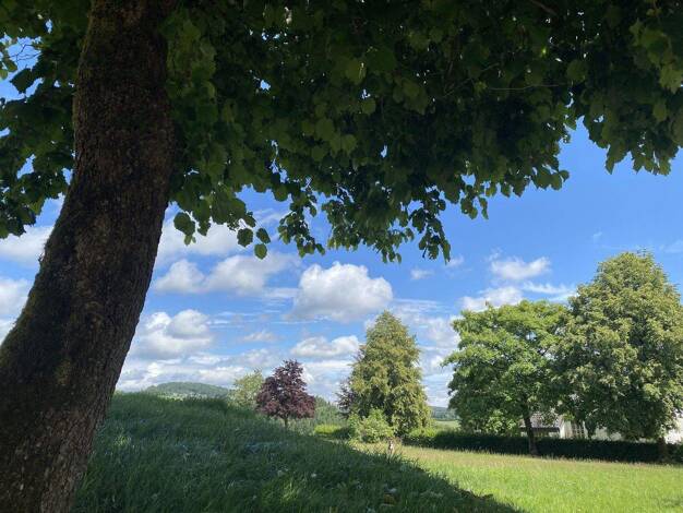 Wohnung zur Miete 760 € 2 Zimmer 57 m² Delleweg 21 Langewiese Winterberg 59955