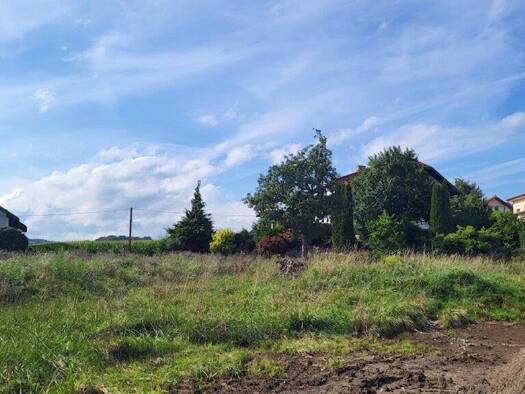 Grundstück zum Kauf 66.000 € 765 m² Grundstück Diersbach 4776