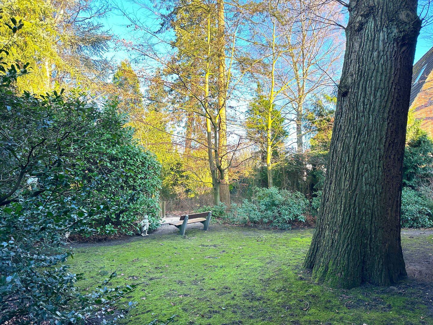 Property thumbnail 12