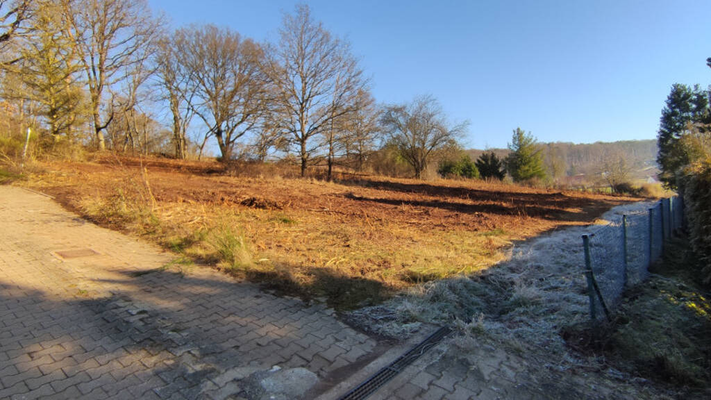 Grundstück zum Kauf 115.000 € 2.935 m² Grundstück Neuhemsbach 67680