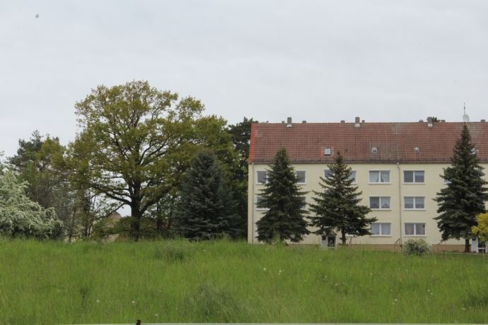 Mehrfamilienhaus zum Kauf provisionsfrei als Kapitalanlage geeignet 599.000 € 799 m²<br/>Wohnfläche 2.636 m²<br/>Grundstück Zetzscha Altenburg 04600