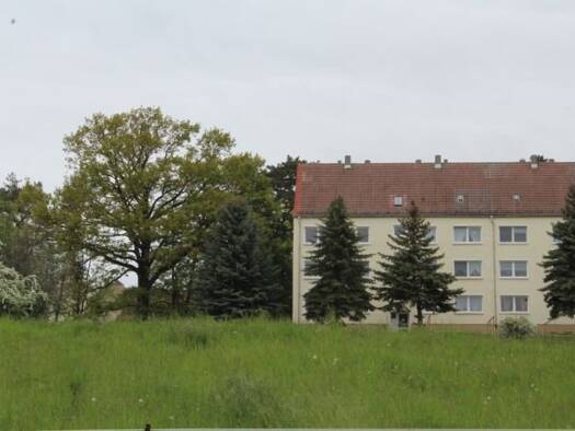 Mehrfamilienhaus zum Kauf provisionsfrei als Kapitalanlage geeignet 649.000 € 799 m² 2.636 m² Grundstück Zetzscha Altenburg 04600