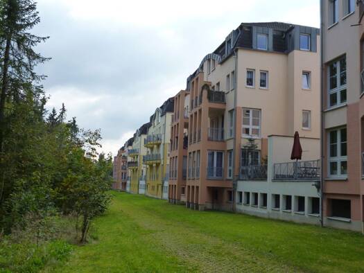 Wohnung zur Miete 345 € 2,5 Zimmer 54 m² Geschoss 3/4 frei ab 01.03.2026 Friedrich-Naumann-Straße 15 Auerbach 08209