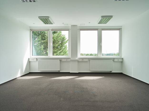 Bürofläche zur Miete 9,99 € 207,3 m² Bürofläche Robert-Koch-Straße 50 Hechtsheim Mainz 55129