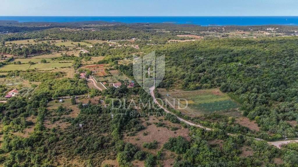 Land-/Forstwirtschaft zum Kauf 250.000 € Rovinj Rovinj