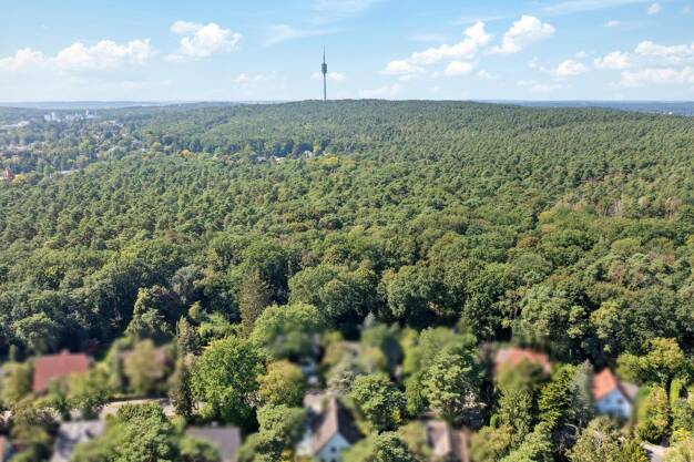 Grundstück zum Kauf 1.350.000 € 1.215 m² Grundstück Wannsee Berlin 14109