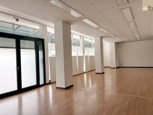 Sonstiges zur Miete als Kapitalanlage geeignet 2.770 € 392 m² 271 m² Grundstück Pergerstraße Baden 2500