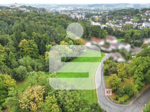 Grundstück zum Kauf 295.000 € 1.000 m² Grundstück Pfarrkirchen Pfarrkirchen 84347