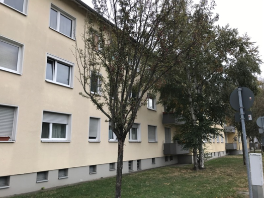 Wohnung zur Miete 465 € 2 Zimmer 43 m² frei ab 01.04.2026 Gotenstraße 92 Unterliederbach Frankfurt am Main 65929