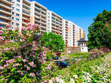 Wohnung zur Miete 215 € 1 Zimmer 33 m² 1. Geschoss Nicolaistraße 13 Innenstadt Zwickau 08056