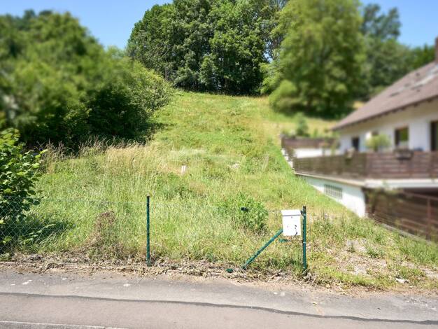 Grundstück zum Kauf 11.000 € 804 m² Grundstück Weißenborn 37299