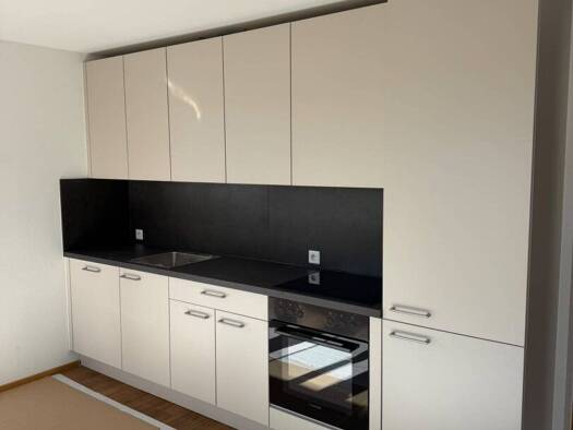 Wohnung zur Miete 824 € 2 Zimmer 47 m² 1. Geschoss Karl-Höll-Straße Lauterach 6923