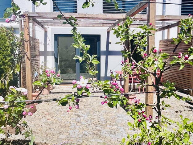 Reihenmittelhaus zum Kauf provisionsfrei 899.000 € 4 Zimmer 130 m² 169 m² Grundstück Aßling Aßling 85617
