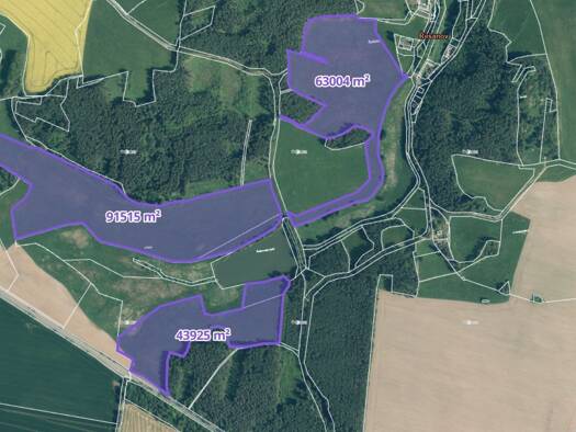 Land-/Forstwirtschaft zum Kauf 45 CZK Planá 34701