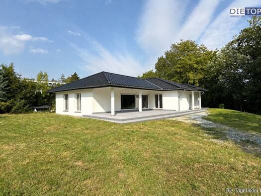 Einfamilienhaus zum Kauf 650.000 € 5 Zimmer 190 m² 1.197 m² Grundstück Neuenheerse Bad Driburg 33014