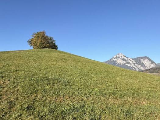Land-/Forstwirtschaft zum Kauf 58.297 m² Grundstück Gröbming 8962