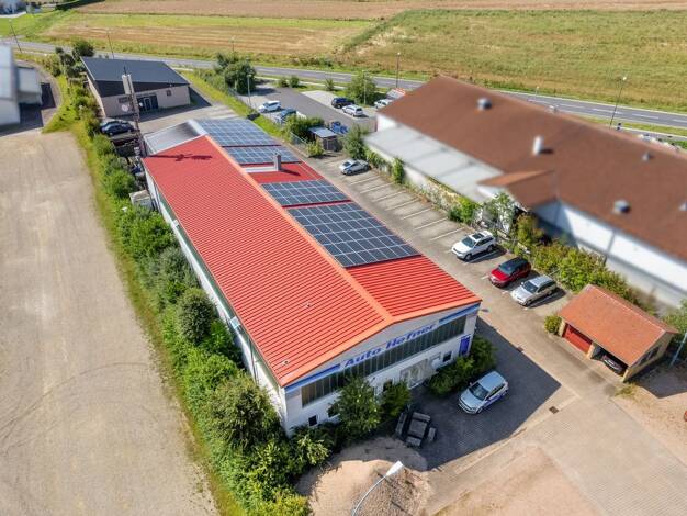 Sonstiges zum Kauf 599.000 € 3 Zimmer 3.000 m² Grundstück Vilseck 92249