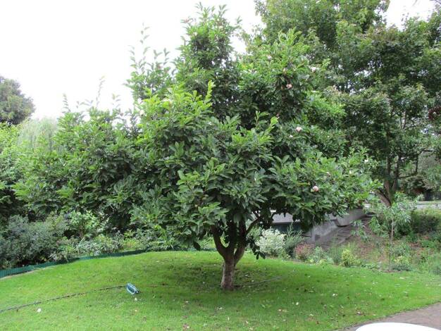 Grundstück zum Kauf provisionsfrei 977 m² Grundstück Zepernick Panketal 16341