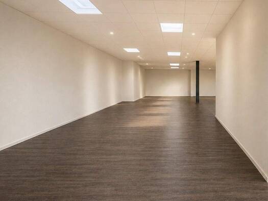 Laden zur Miete provisionsfrei 1.950 € 200 m² Verkaufsfläche Georg-Fischer-Straße 32 Singen Singen (Hohentwiel) 78224