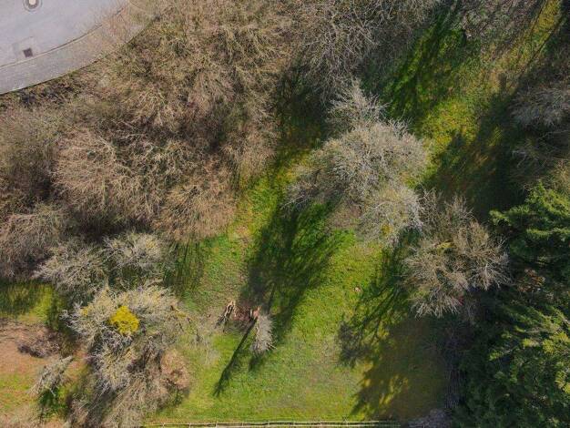 Grundstück zum Kauf 39.000 € 1.394 m² Grundstück Oberzell Sinntal 36391