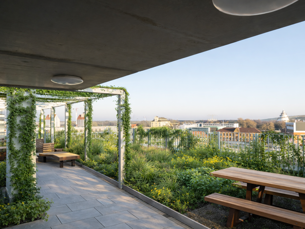 Studio zur Miete - Erstbezug 388 € 1 Zimmer 22,2 m² 1. Geschoss frei ab sofort Hansastraße 22 Alte Neustadt Magdeburg 39106