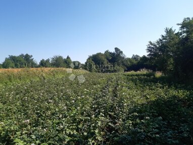 Land-/Forstwirtschaft zum Kauf 5.000 € Ogulin center 47300