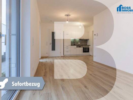 Wohnung zur Miete 545 € 2 Zimmer 51,2 m² 1. Geschoss Urnenhainweg 1a Traun 4050