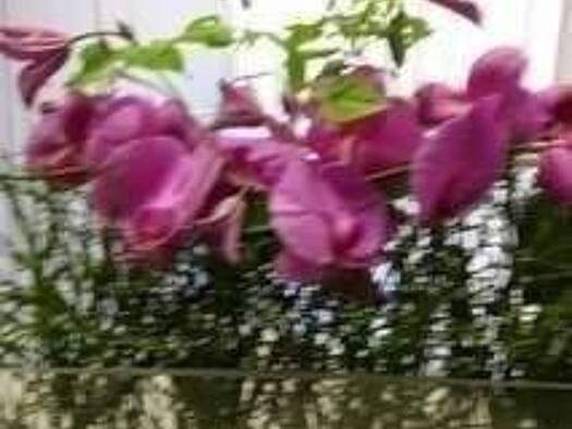 Wohnung zur Miete 1.250 € 3 Zimmer 92 m² 3. Geschoss frei ab sofort Oberrather Strasse Rath Düsseldorf 40472