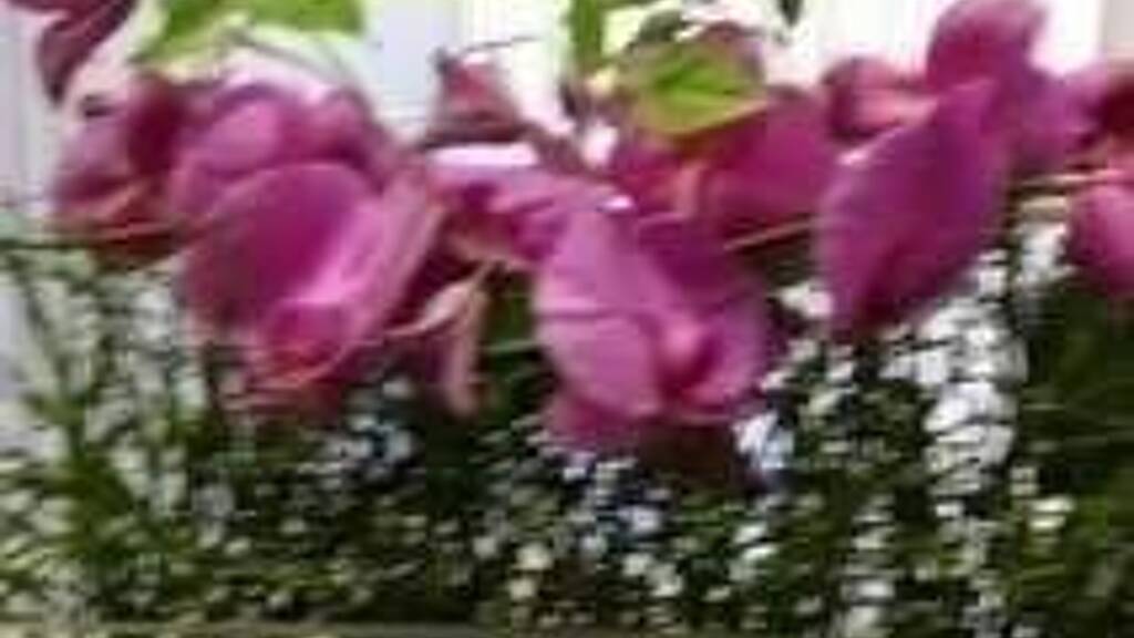 Wohnung zur Miete 1.250 € 3 Zimmer 92 m² 3. Geschoss frei ab sofort Oberrather Strasse Rath Düsseldorf 40472