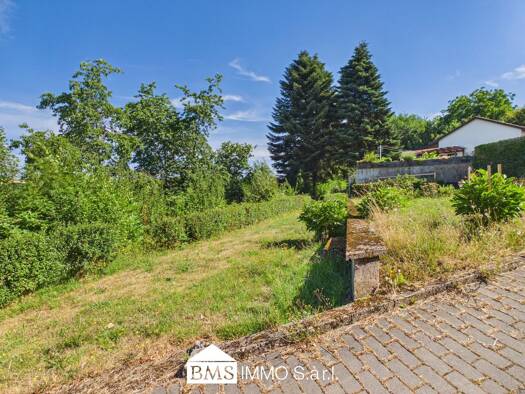Grundstück zum Kauf 50.000 € 1.243 m² Grundstück Utscheid 54675