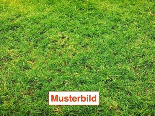 Grundstück zum Kauf 1.160.000 € 889 m² Grundstück Hattersheim 65795