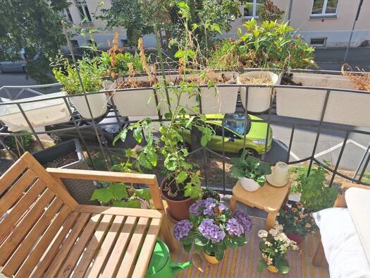 Wohnung zur Miete 847 € 2 Zimmer 77 m² 3 Geschosse frei ab sofort Westvorstadt Weimar 99423